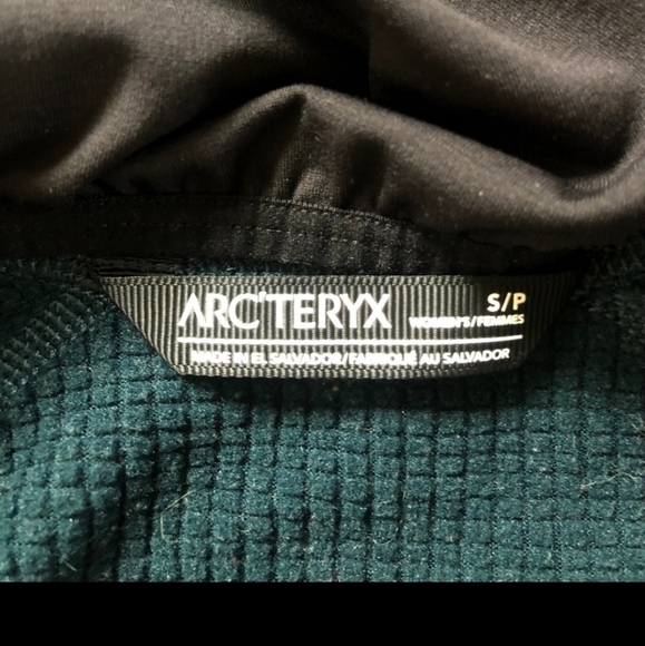 Arc'teryx Delta MX Hoody in Labrynth color - Picture 3 of 3